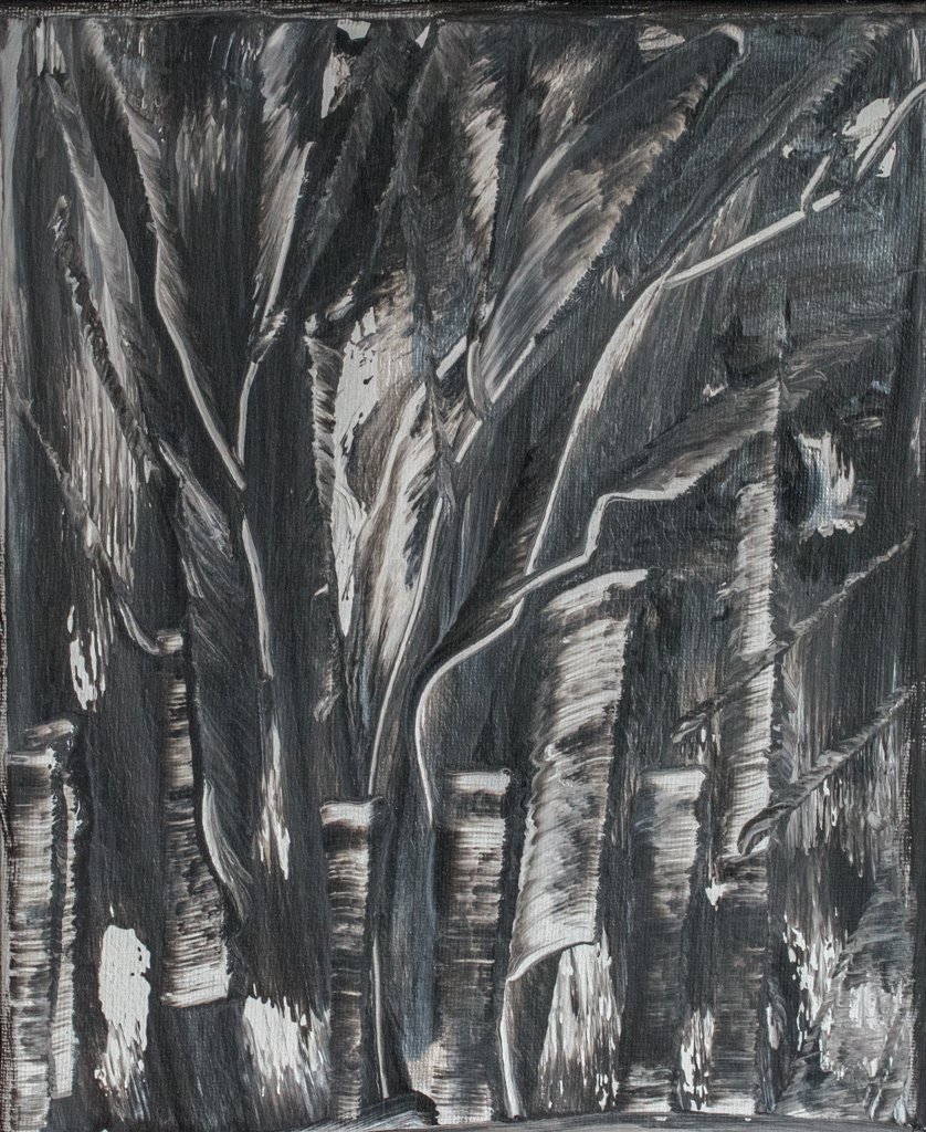 Yosemite National Park